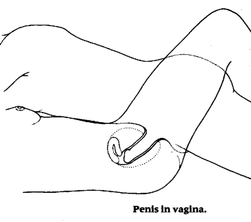 consider, that you white sluts choking on cock site, with information large